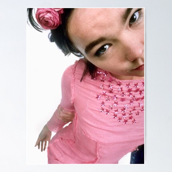 Item preview, Björk designed and sold by dissolved girl.