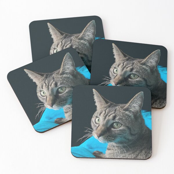 Item preview, Cute Tabby with Blanket designed and sold by Amanda1775.