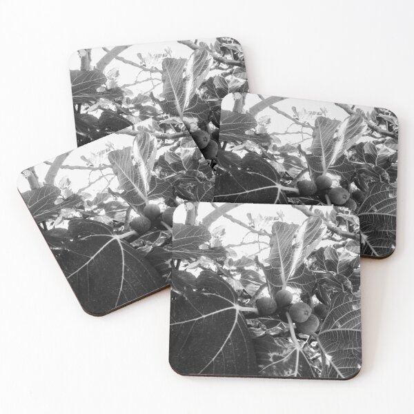 Item preview, black and white fig tree designed and sold by Sandrinebgt.