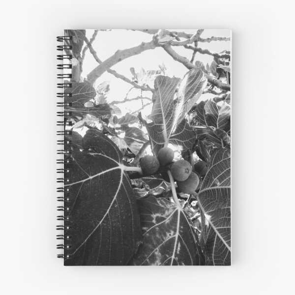 Item preview, black and white fig tree designed and sold by Sandrinebgt.