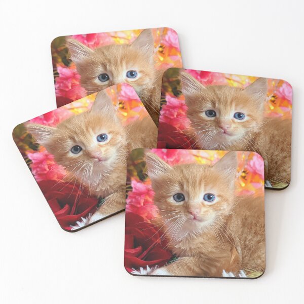 Item preview, Ginger Maine coon ragdoll kitten designed and sold by Fluffycat2020.