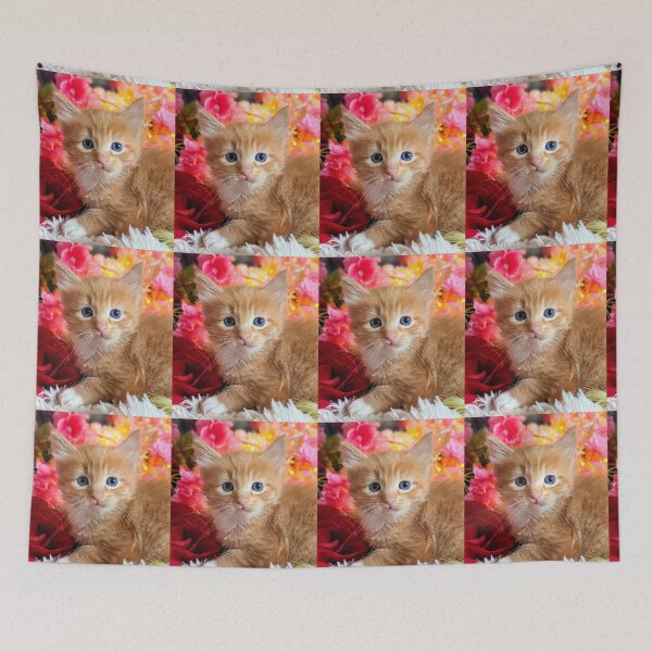 Item preview, Ginger Maine coon ragdoll kitten designed and sold by Fluffycat2020.