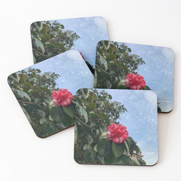 Item preview, Natureza designed and sold by Galitenda.