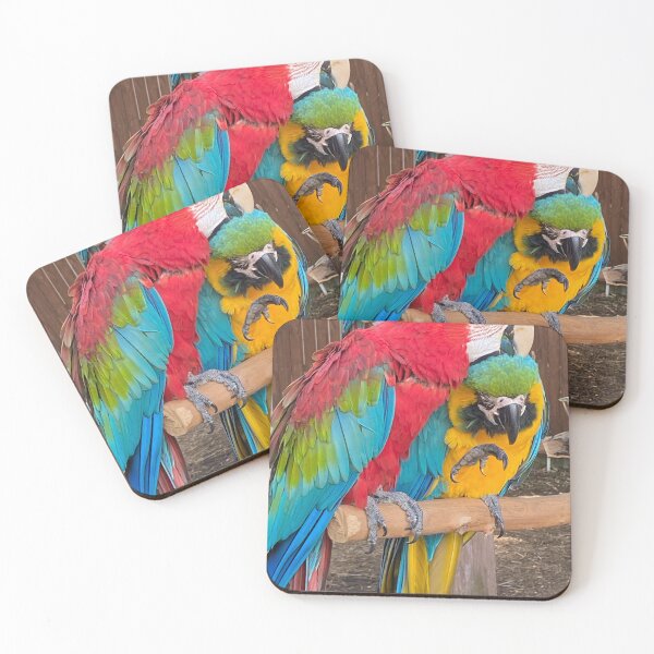 Item preview, Cuddling parrots  designed and sold by JMVisuals28.