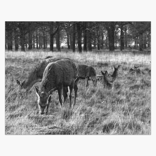 Deer Grazing On A Field, Black and White Jigsaw Puzzle
