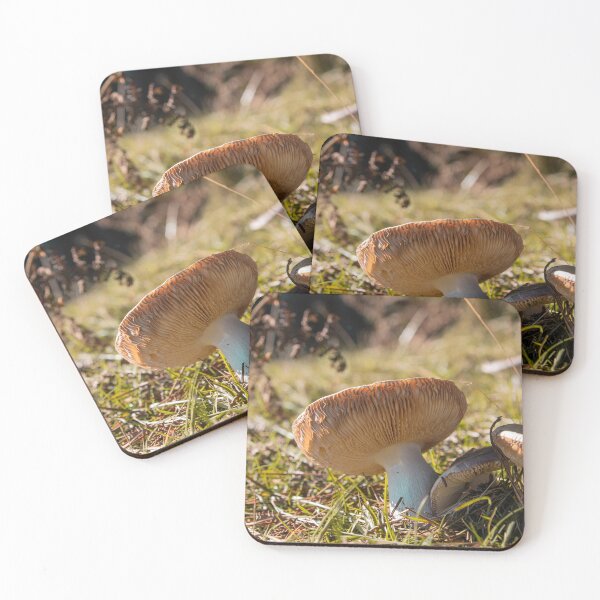 Item preview, forest mushrooms designed and sold by ocaso.