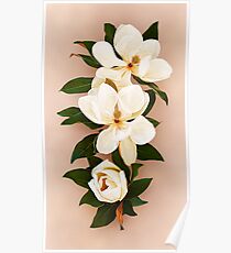 Painted Magnolias Poster