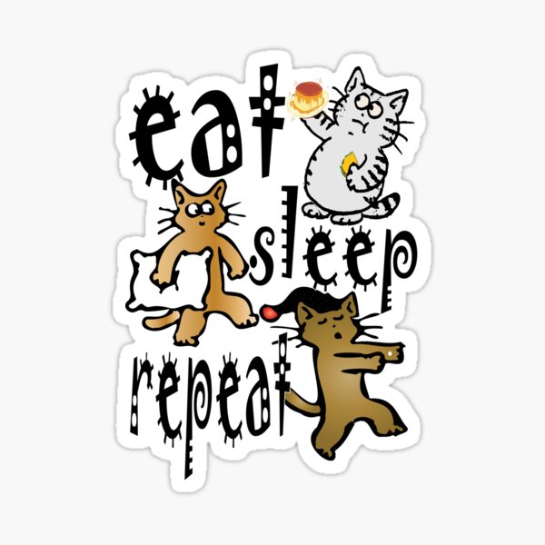 eat sleep repeat lazy cat life in national sleep day of cats brown white and yellow cats Sticker