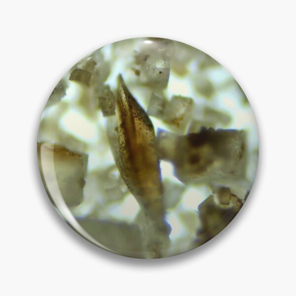 Item preview, PLF2 Conodont Element 10x designed and sold by Pr0teusUnbound.