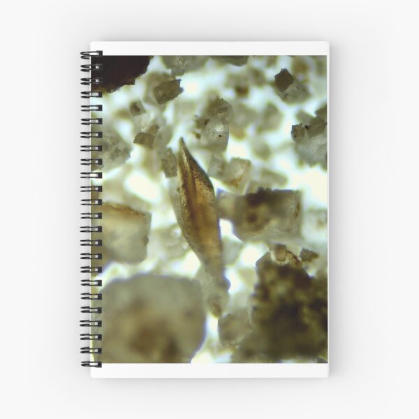 Item preview, PLF2 Conodont Element 10x designed and sold by Pr0teusUnbound.
