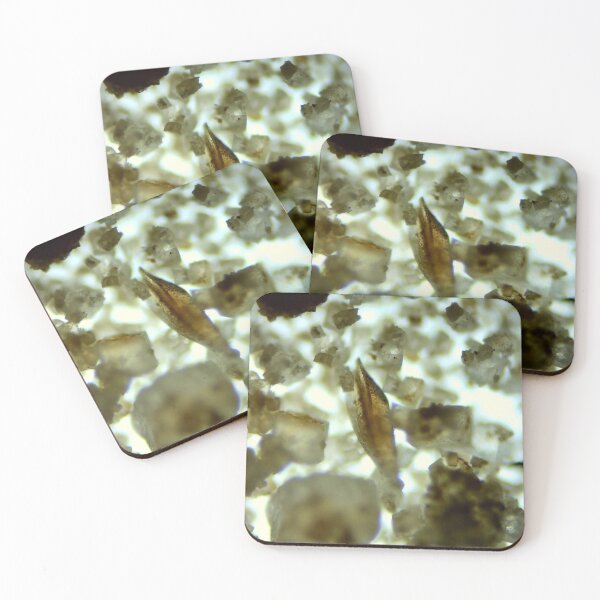 Item preview, PLF2 Conodont Element 10x designed and sold by Pr0teusUnbound.
