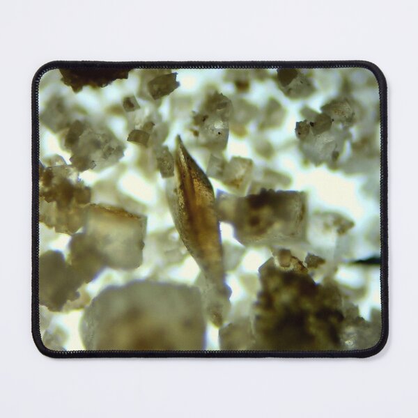 Item preview, PLF2 Conodont Element 10x designed and sold by Pr0teusUnbound.