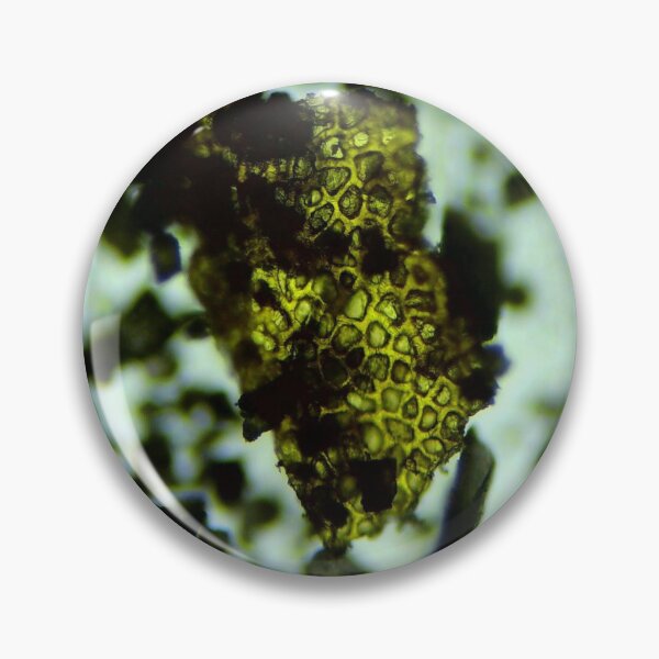 Item preview, Devonian Plant Microfossil designed and sold by Pr0teusUnbound.