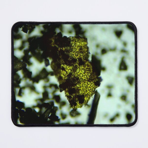 Item preview, Devonian Plant Microfossil designed and sold by Pr0teusUnbound.