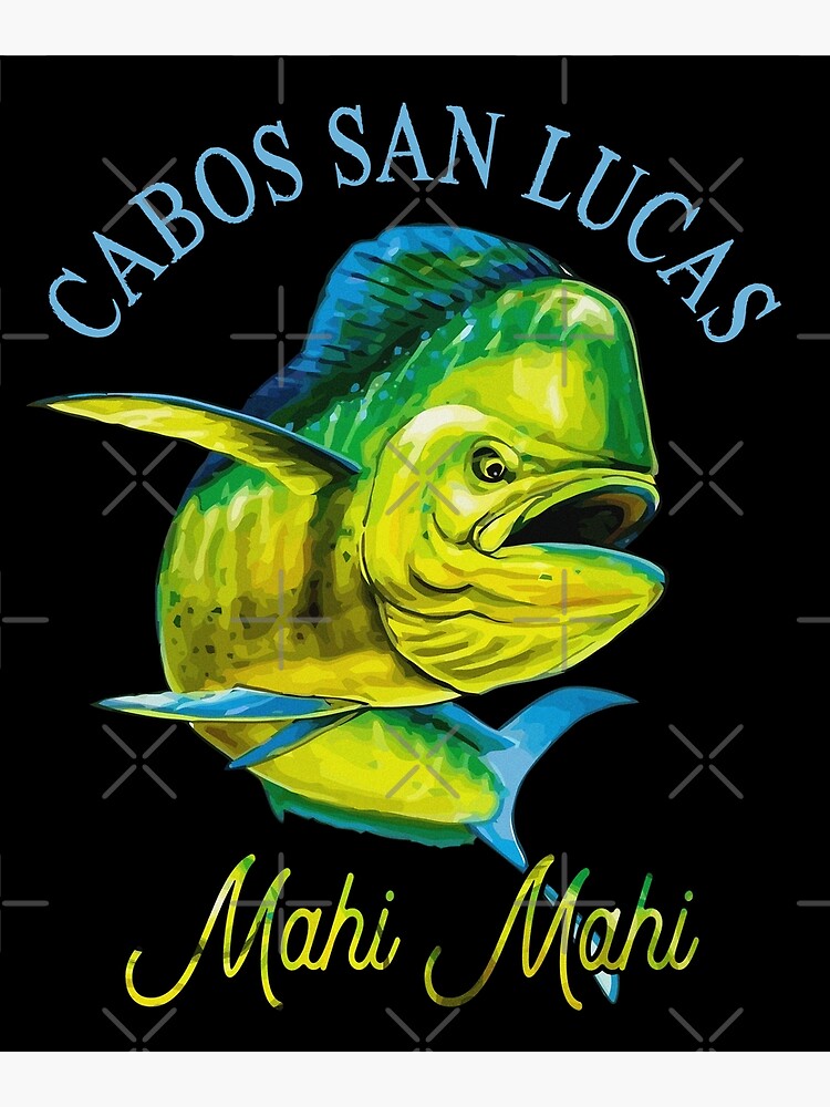 "Mahi Mahi Cabos San Lucas Fishing Mexico Great MAHI Dolphin Fishing
