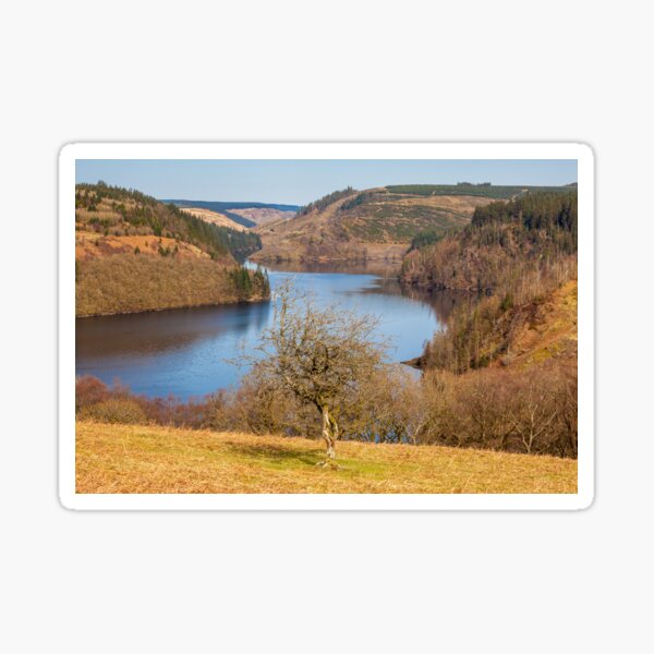 Artikel-Vorschau von Llyn Brianne Reservoir, Mid Wales, designt und verkauft von heidipics.