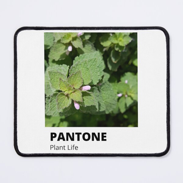 Item preview, Asthetic Pantone summer green wild plant life designed and sold by momo studio.