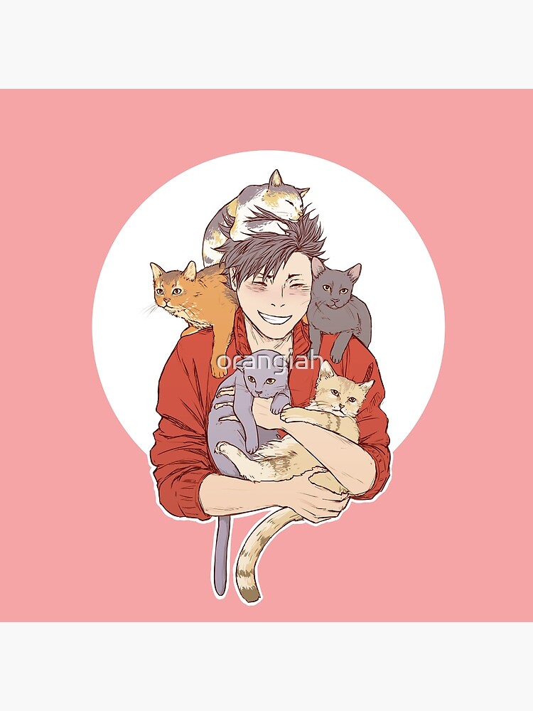 kuroo cat pillow