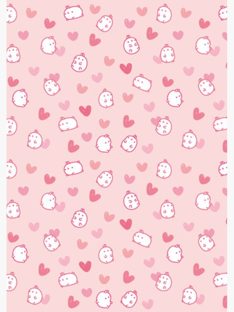 Cute Kawaii Spiral Notebook kit – Raspberry Stationery