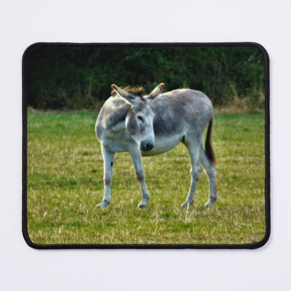 Item preview, Little gray donkey ... designed and sold by ART22.