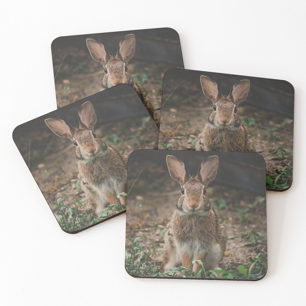 Item preview, Coasters (Set of 4) designed and sold by dev11588.