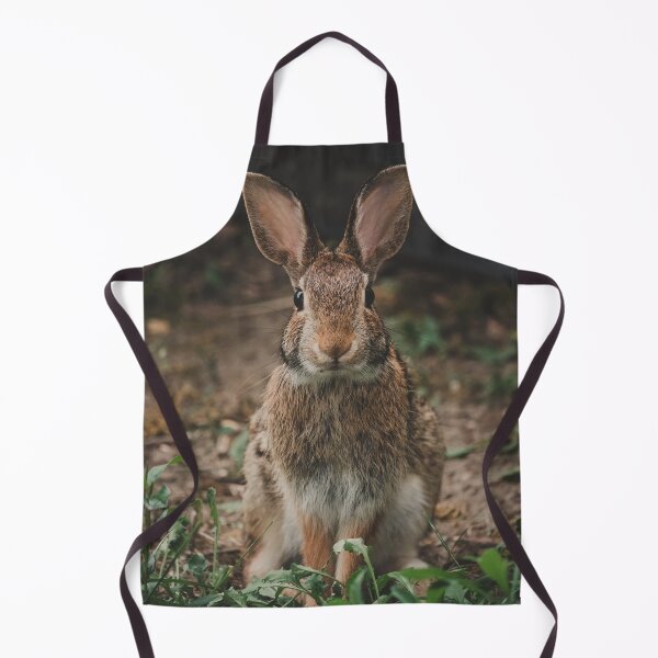 Item preview, Bunny Rabbit Photograph designed and sold by dev11588.