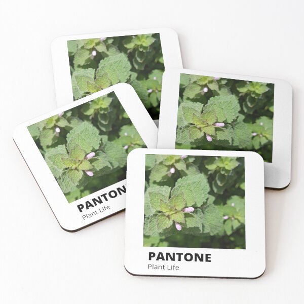Item preview, Asthetic Pantone summer green wild plant life designed and sold by momo studio.