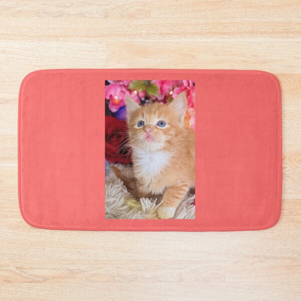 Item preview, Ginger ragdoll Mainecoon kitten designed and sold by Fluffycat2020.