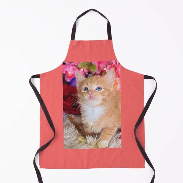 Item preview, Ginger ragdoll Mainecoon kitten designed and sold by Fluffycat2020.