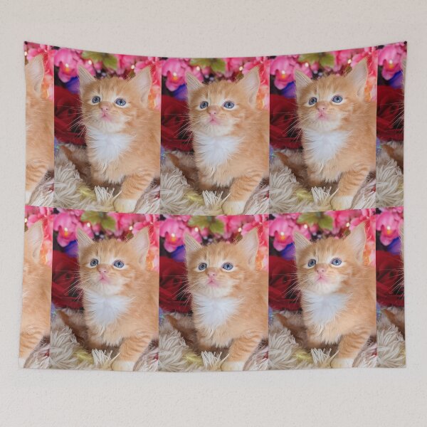 Item preview, Ginger ragdoll Mainecoon kitten designed and sold by Fluffycat2020.