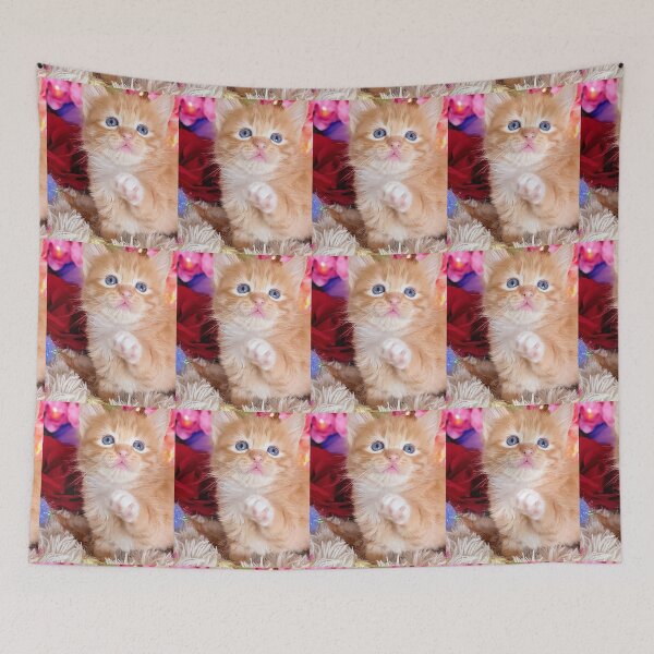 Item preview, Ginger ragdoll Mainecoon kitten designed and sold by Fluffycat2020.