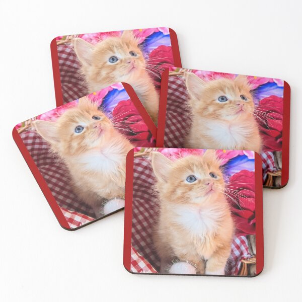 Item preview, Ginger ragdoll Mainecoon kitten designed and sold by Fluffycat2020.