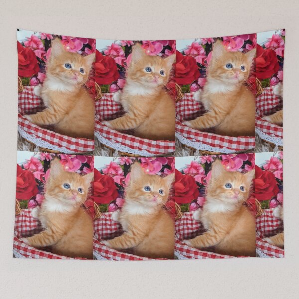 Item preview, Ginger ragdoll Mainecoon kitten designed and sold by Fluffycat2020.