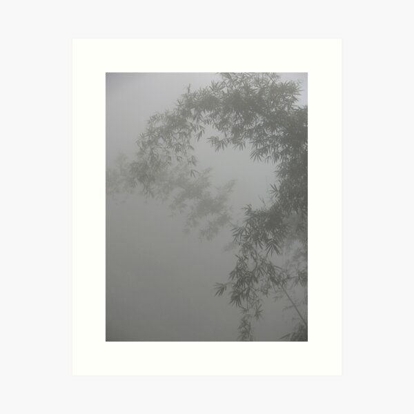 Item preview, Bamboo in the mist designed and sold by skyb.