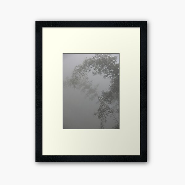 Item preview, Bamboo in the mist designed and sold by skyb.