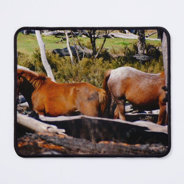 Item preview, Amongst the Burnt Trees designed and sold by D-GaP.