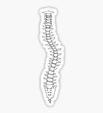 Scoliosis Sticker