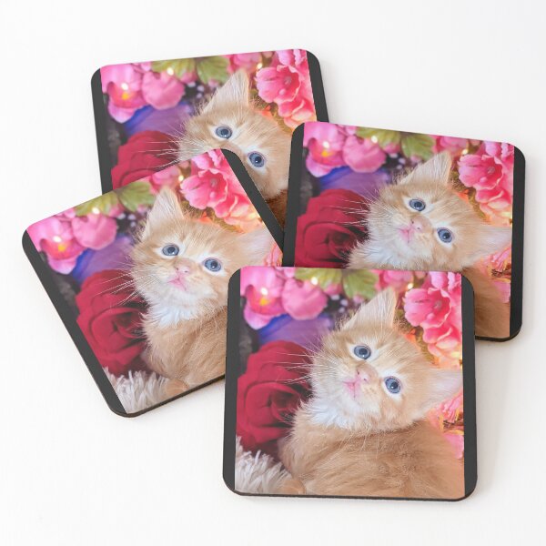 Item preview, Ginger ragdoll Mainecoon kitten designed and sold by Fluffycat2020.