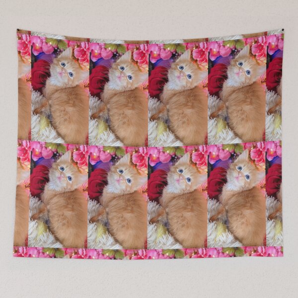 Item preview, Ginger ragdoll Mainecoon kitten designed and sold by Fluffycat2020.