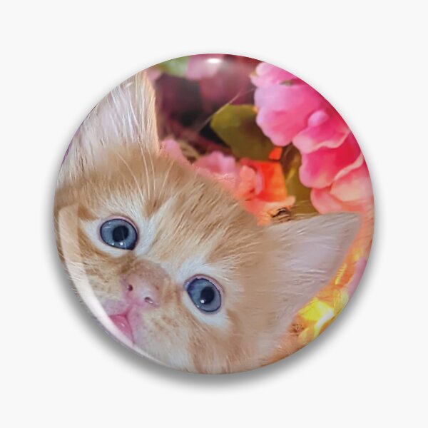Item preview, Ginger ragdoll Mainecoon kitten designed and sold by Fluffycat2020.