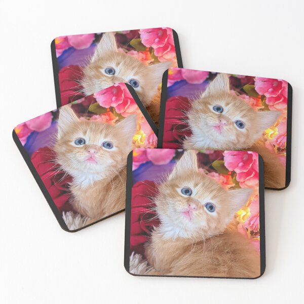 Item preview, Ginger ragdoll Mainecoon kitten designed and sold by Fluffycat2020.