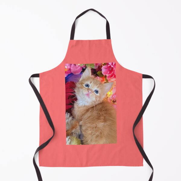 Item preview, Ginger ragdoll Mainecoon kitten designed and sold by Fluffycat2020.