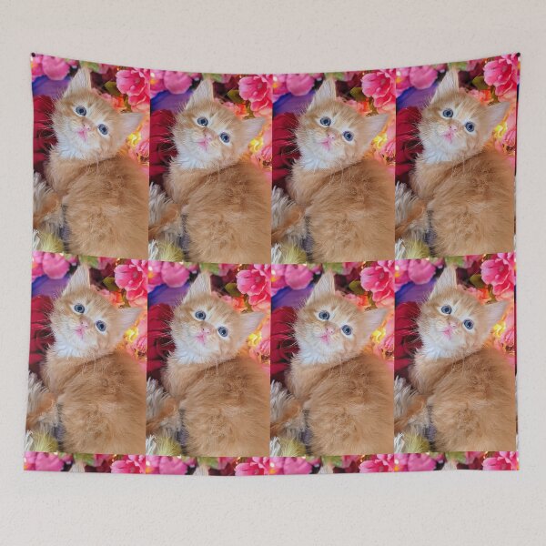 Item preview, Ginger ragdoll Mainecoon kitten designed and sold by Fluffycat2020.