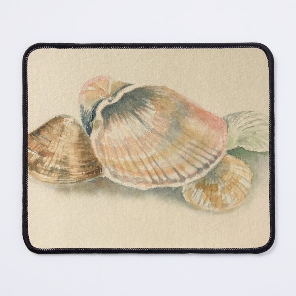 Item preview, Shells by the Seashore designed and sold by Martha MacKinnon.