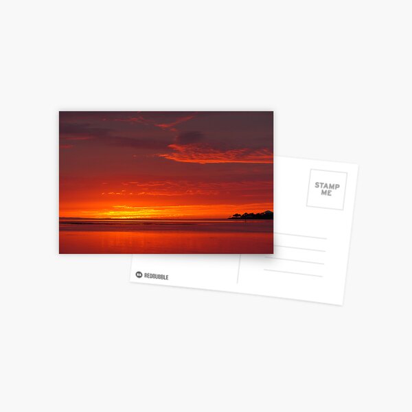 Sunset at Cedar Key Postcard