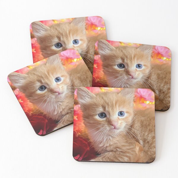 Item preview, Ginger ragdoll Mainecoon kitten designed and sold by Fluffycat2020.