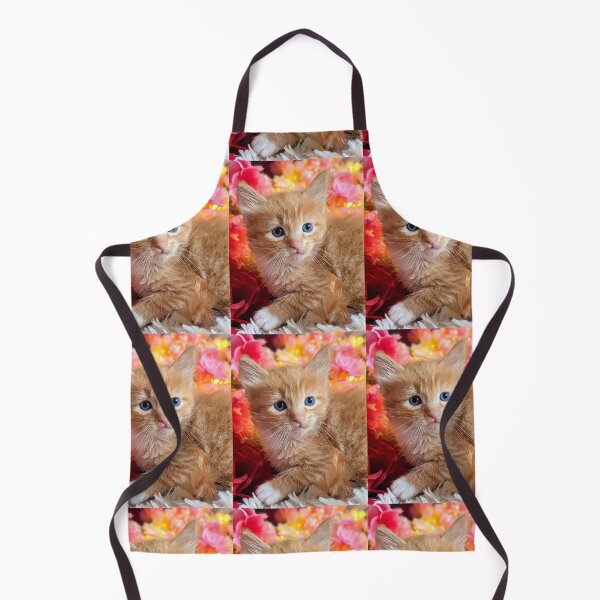 Item preview, Ginger ragdoll Mainecoon kitten designed and sold by Fluffycat2020.