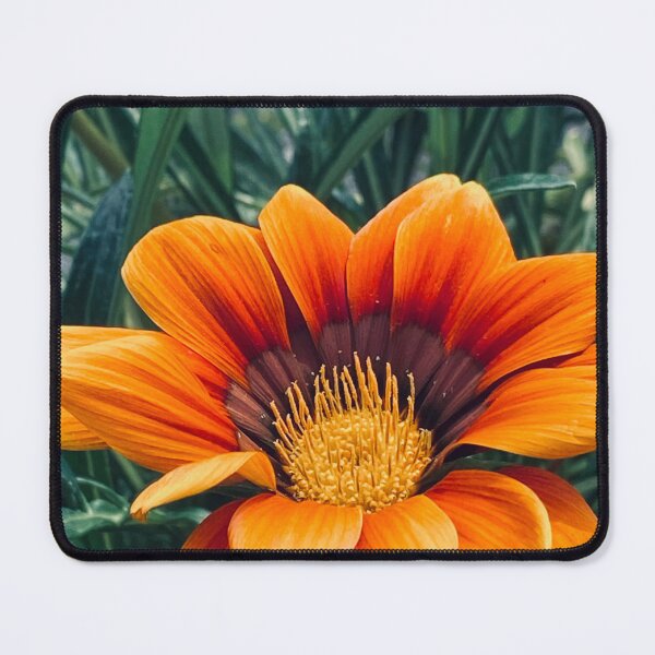 Item preview, Gazania flame orange flower. By Lorraine Lashley (My-Joy) designed and sold by Lorraine Lashley - My Joy..