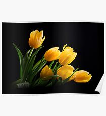 Yellow Tulips Poster