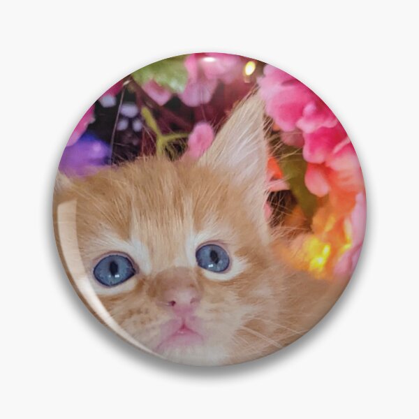 Item preview, Ginger ragdoll Mainecoon kitten designed and sold by Fluffycat2020.